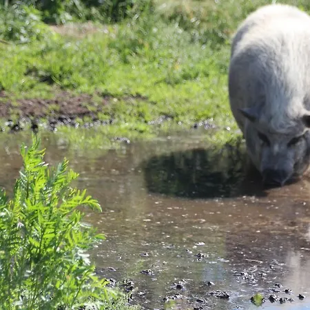 Radler's Hof 3* Letschin