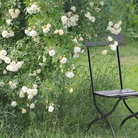 בית הארחה Radler's Hof 3*