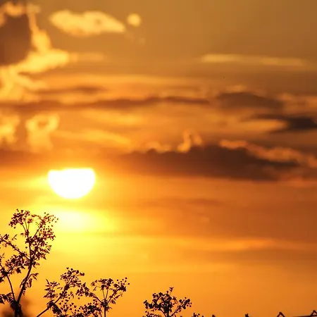 בית הארחה Radler's Hof 3*