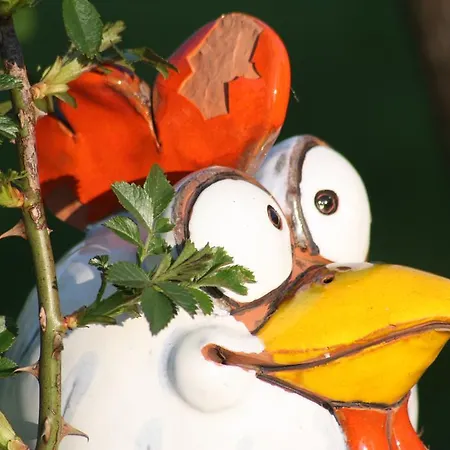 Radler's Hof Letschin