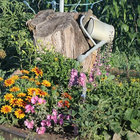 ゲストハウス Radler's Hof Letschin