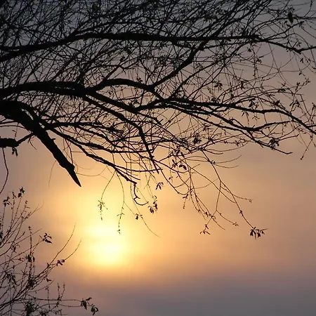 Radler's Hof בית הארחה 3*