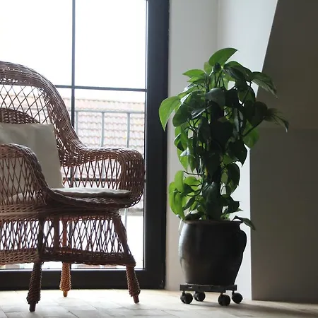 Radler's Hof Letschin