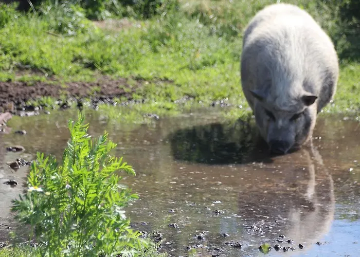 Radler's Hof 3* Letschin