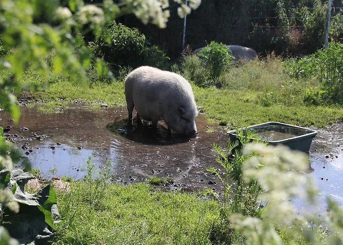 Gasthuis Radler's Hof Letschin