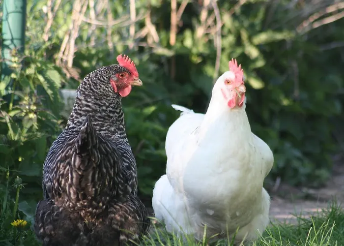 Gasthuis Radler's Hof